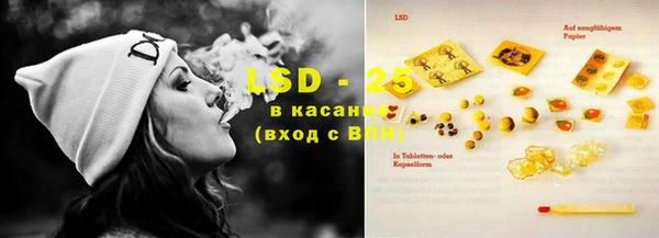 индика Алексеевка