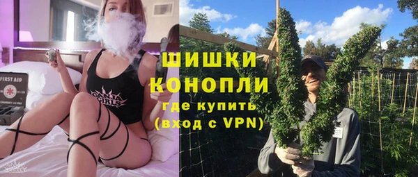 индика Алексеевка